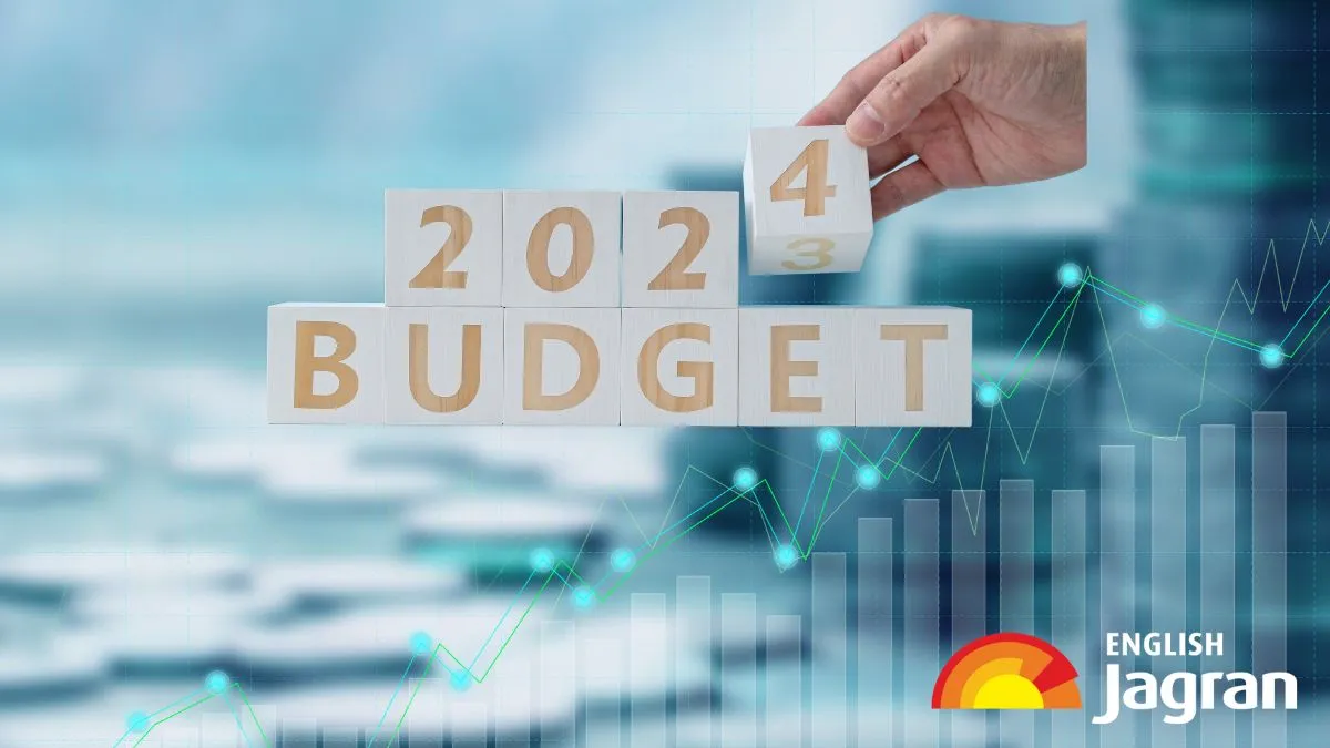 union-budget-expectations-finance-sector-experts-demand-changes-in-import-duty-gst-tax-benefits-in-budget-202425